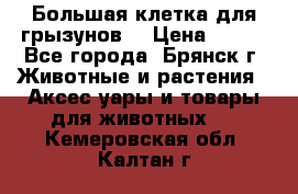 Большая клетка для грызунов  › Цена ­ 500 - Все города, Брянск г. Животные и растения » Аксесcуары и товары для животных   . Кемеровская обл.,Калтан г.